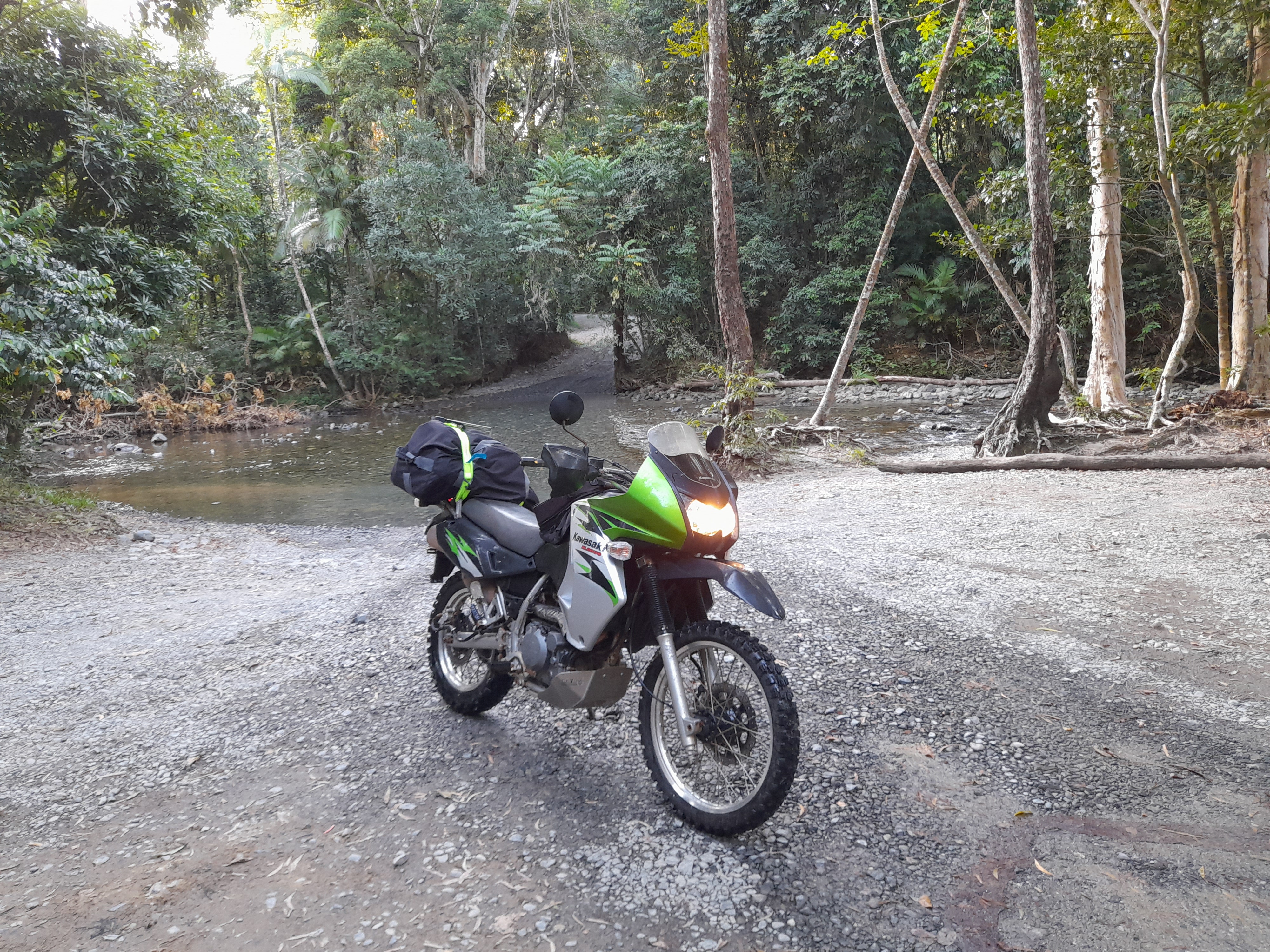 Daintree and CREB Experience