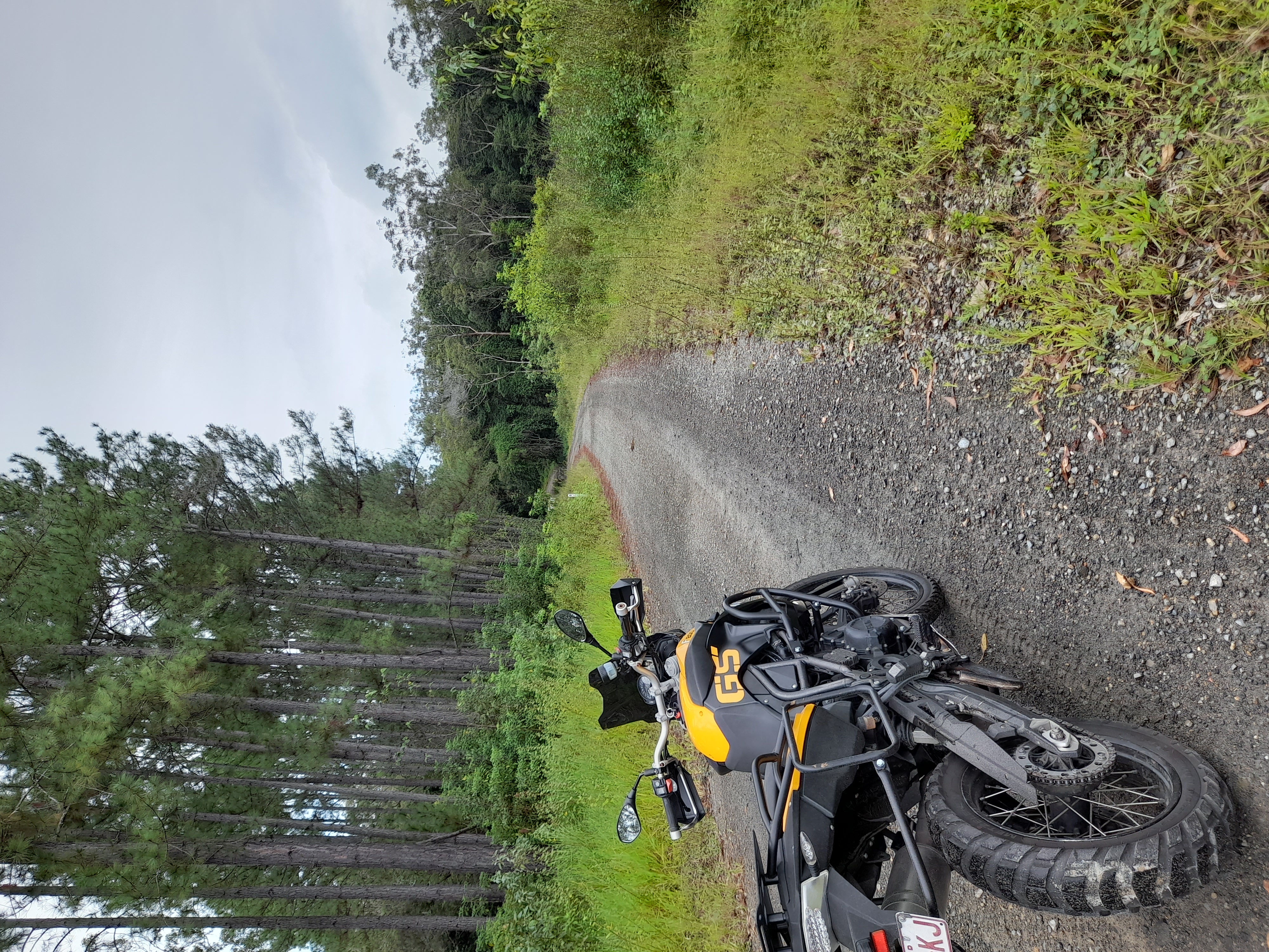 Daintree and CREB Experience